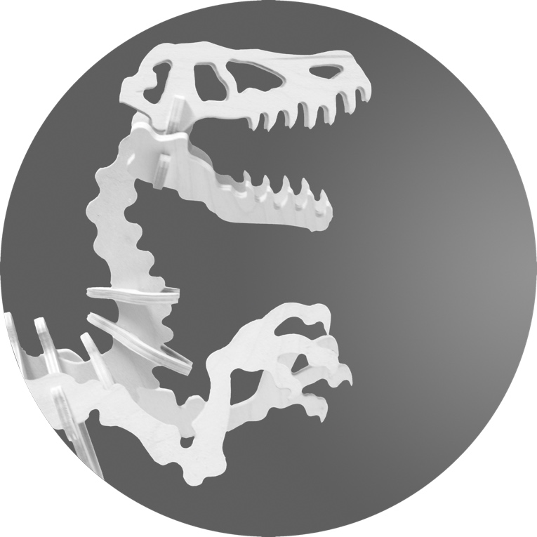 Sorge- & Umgangsrecht - T-Rex